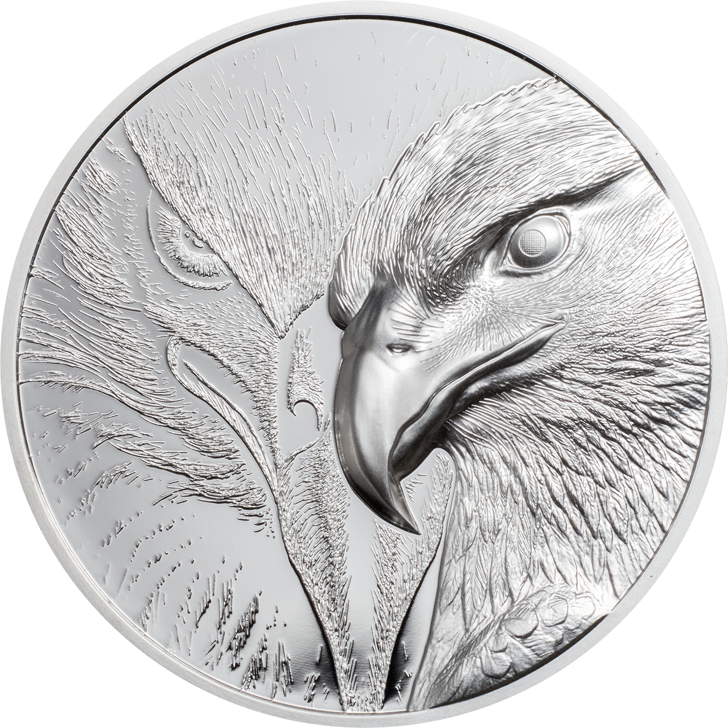 Majestic Eagle Zilver 1 Ounce 2020 | Muntzijde | Goud999