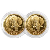 Big 5 Series II -Elephant Goud 1/4 Ounce 2021 PROOF -Duo Cap | Muntzijde | goud999