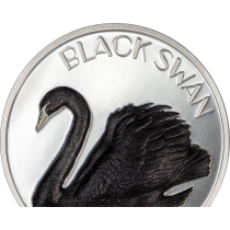 Black Swan Zilver 2 Ounce 2023 Black Proof | Hoofdzijde I goud999|